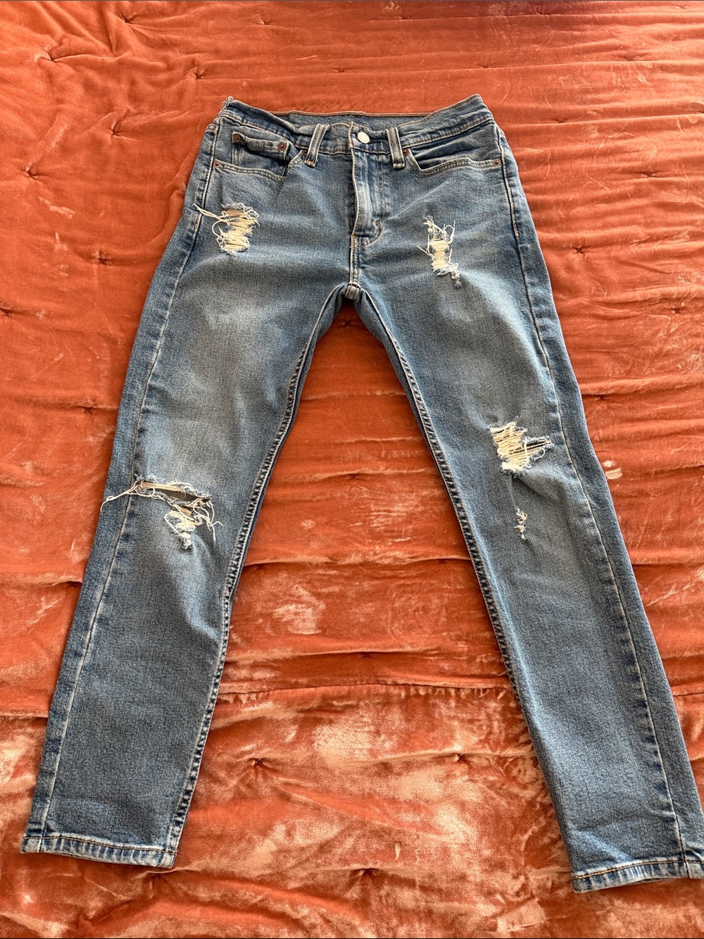 Levi's Men's Skinny Distressed Blue Jeans